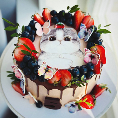 Торт "Котенок" купить - набережныечелны.сладкоежкин.рф